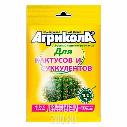 ���� ��������� ��� �������� � ����������� 