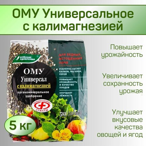 ���� ��� 