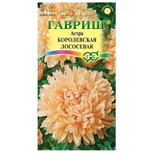 ���� ������ ������ ����� ����������� ���������, ����������� 0,3 �, ������ �� 44 ���