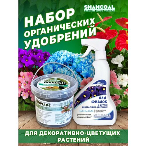 ���� ��������� ������������� ��� ����� ������� + ��������� ��� ������, ������ �� 590 ���