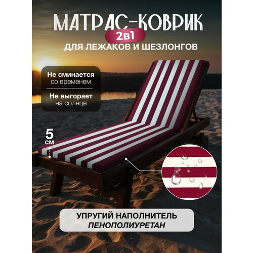 ���� ������ ��� �������� ����������������� ���������� ���, 55�180 ��, ������ �� 1297 ���