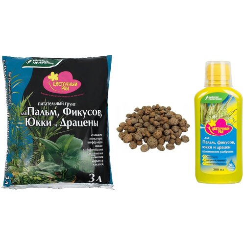 ���� ����� ��� �����, �������, ���� � ������� (�����, ��������� � ������), 3 �, 2 ��, 3 ��., ������ �� 495 ���