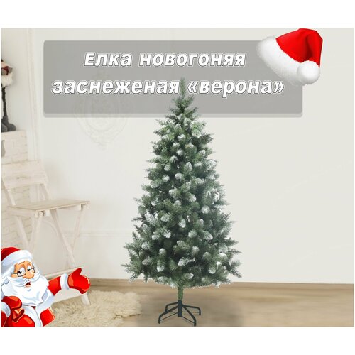 ���� ��� ������������� ���� ���� ������ ����������� 120 ��, ���������� ���� ,�� ���,�������., ������ �� 3867 ���