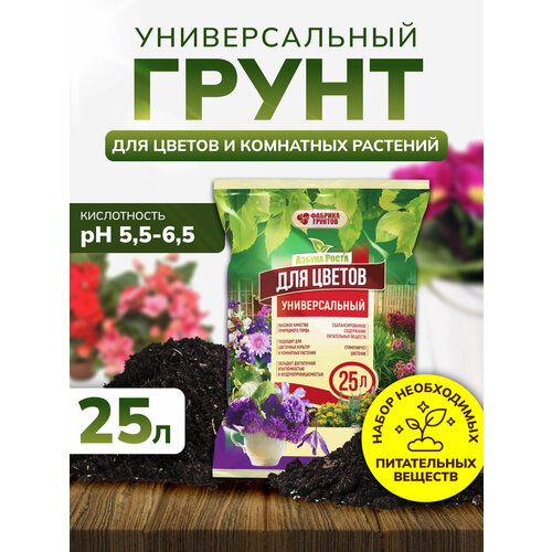 ���� ����� ��� ������ ������������� 25 ������, ����� ��� �������, ����������, InHome Green, ������ �� 1251 ���