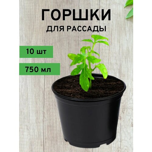 ���� ������ ��� �������, 750 ��, 10 ��, ������, ������ �� 305 ���