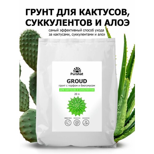   ()     .        (Purshat) 20 ,   1610 