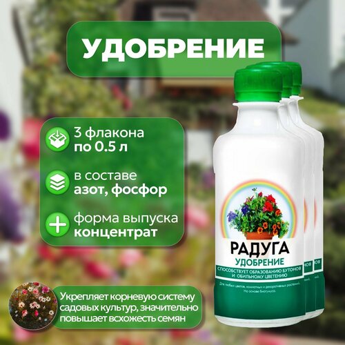 ���� ��������� 