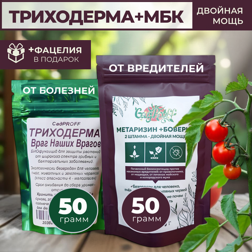 ���� ���������� ��������� ������� �����������, ������ �� 310 ���