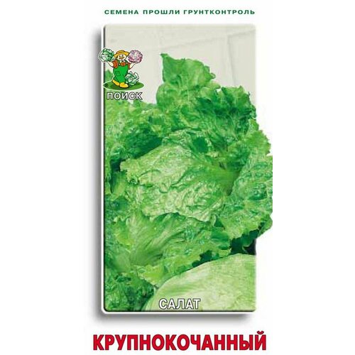 ���� ������ ����� ����� ��������������, 1 �, ������ �� 43 ���