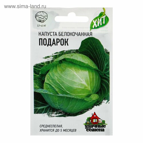 ���� ������ ������� ������������ 