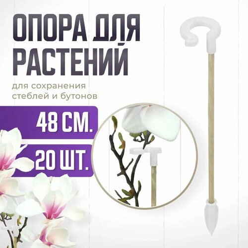 ���� ����� ��� �������� � �������, ������� ������� ��� �������, ��� ������� , ��������� ������ 48 �� 20 ����, ������ �� 1149 ���