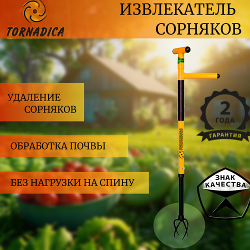 ���� ������ ����������� ����������� �������� ���������/ �������������� ������� Tornadica, ������ �� 1550 ���