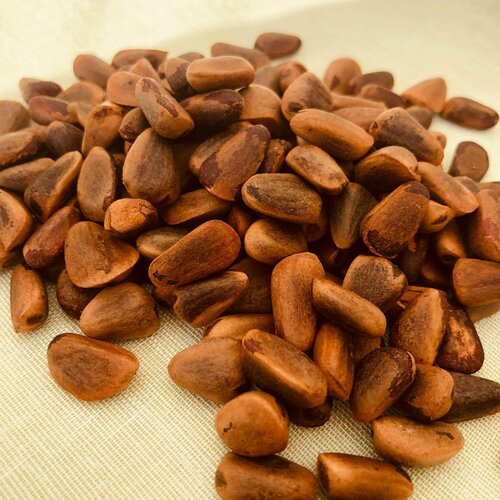 ���� ������ ���� ���������, ������ �� 301 ���