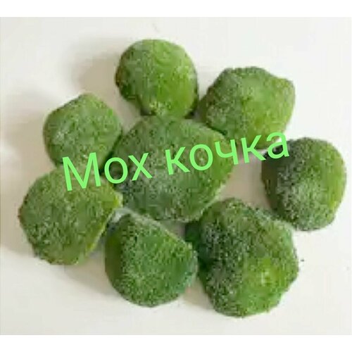 ���� ��� ����� �����������. �����������. �����., ������ �� 929 ���