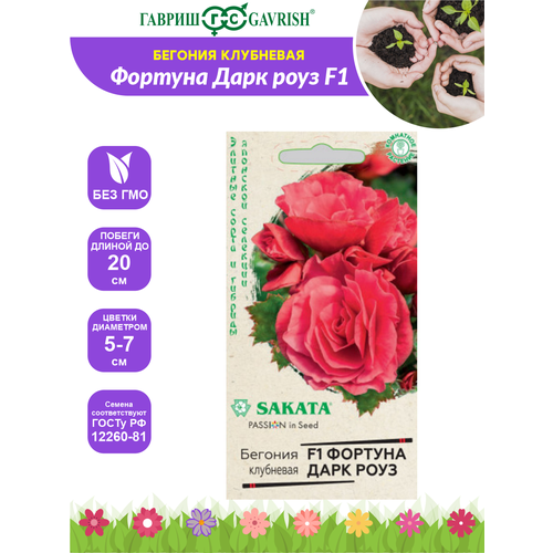 ���� ������ ������� ������� ���� ���� F1 �������. ������. �������� ������ ����� ��������� �21 4 ��., ������ �� 132 ���