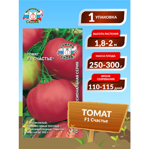 ���� ����� F1 �������, ������ �� 378 ���