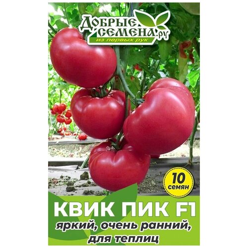      F1 - 10  -  . ,   192 