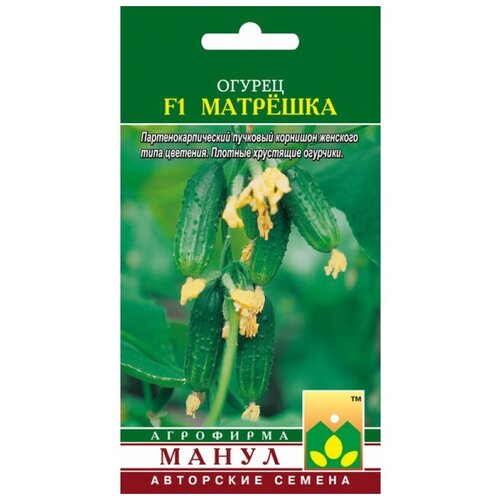 ���� ������ ����� 