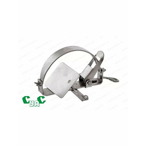 ���� ������ 