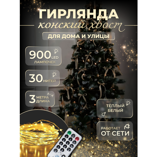 ���� �������� 