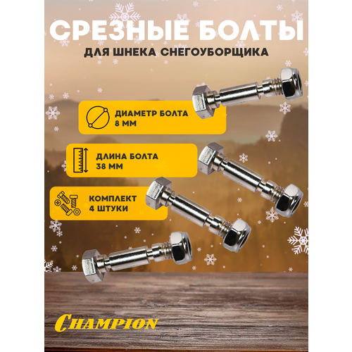 ���� �������� ������� ������ ��� ����� ������������� CHAMPION ST556 � ������, ������� 8 ��, ����� 38 ��, 4 ��., ������ �� 599 ���