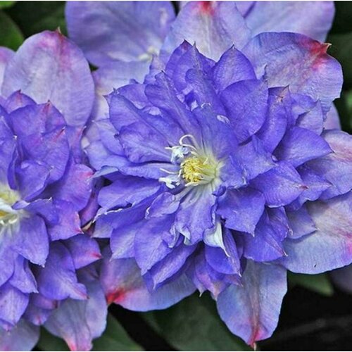 ���� ������ �������� ��������������� ��� ��������� 0,05 � (1 ��������), ������ �� 479 ���