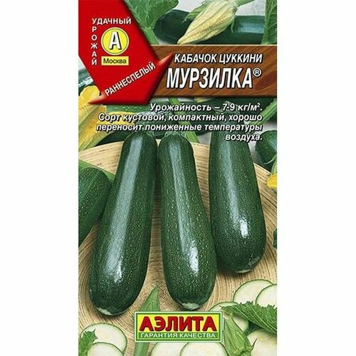 ���� ������ ������� �������� ������� (������) 1�, ������ �� 42 ���