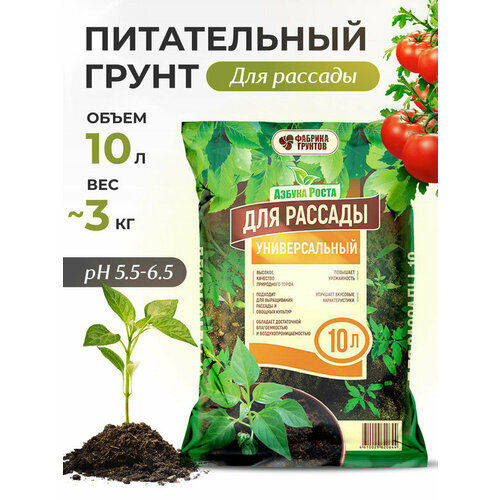 ���� ����� ������������ ��� ������� ������ � ������, 10 �, ����������, InHome Green, ������ �� 711 ���