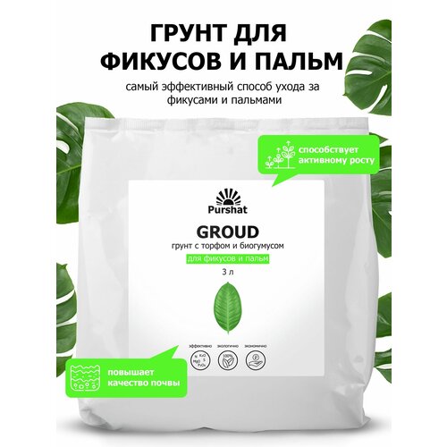 ���� ����� (�����) ��� ������� � ����� ������. � ������ � ���������� ��� ��������� ����� � �������������� �������� (Purshat) 3 �, ������ �� 992 ���