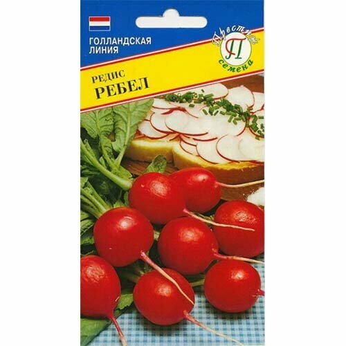 ���� ������ ����� ����� F1 1� (�������), ������ �� 54 ���