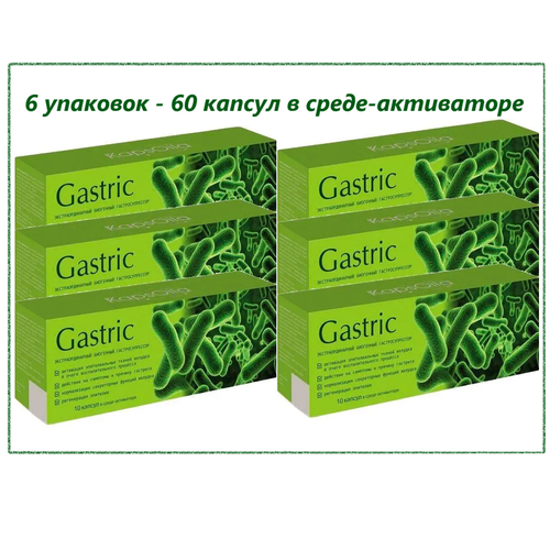  Gastric KapsOila ( )    , , 6   10 . -.,   2900 