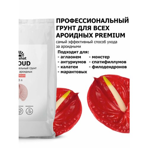 ���� ���������� Pr�mium ��� ���������, ������������ � ������ �������� 10 �, ������ �� 1266 ���