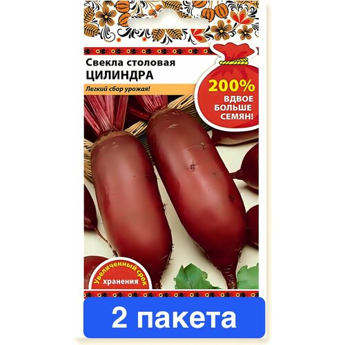 ���� ������ ������ ������� ������ 