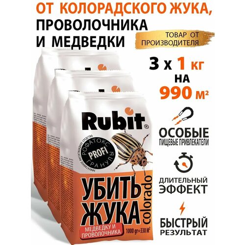 ���� �������� ������ �� ������������ ����, ������ �� 1609 ���