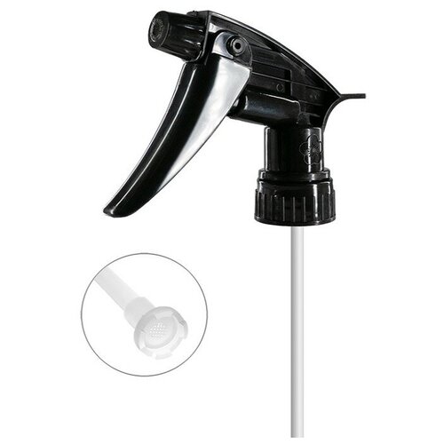 ���� ��������������� 