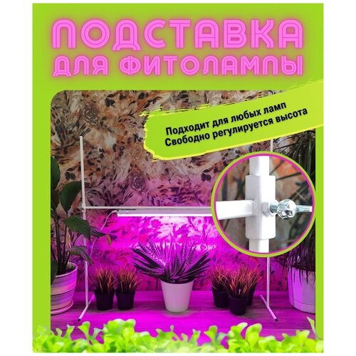 ���� ��������� ��� ��������� 80, ��������� ���������������, ������ �� 1000 ���