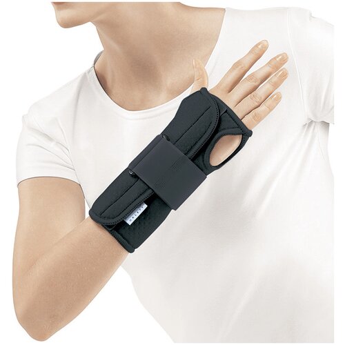  Orlett     WRS-202,  S, ,   4221 