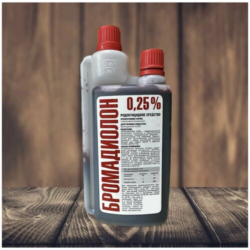 ���� ����������� 250 ��. ���������� ������������� ������ ���� � �����, ������ �� 519 ���