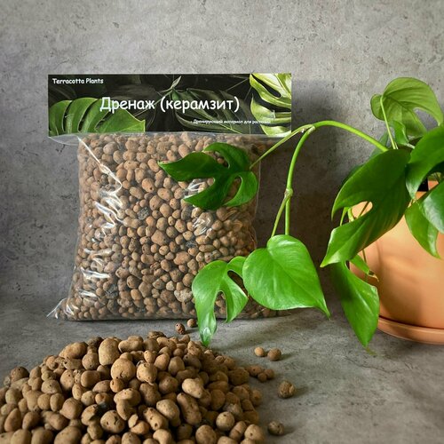 ���� �������� ��� ��������, ������ ��� ������ Terracotta Plant, ��� ��������� ��������, 4 �, ������� 5-10��, �������� �������., ������ �� 389 ���