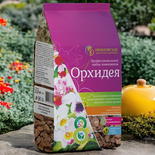 ���� ����� ��� ������� �������� 2.5� / 1��. ���������� ��������� ���������., ������ �� 220 ���