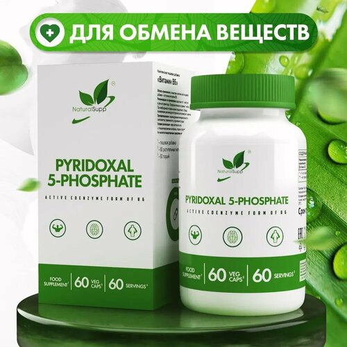   6 NATURALSUPP Vegan 5-Phosphate Pyridoxal (60 )   -     , -, 