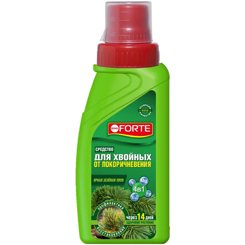 ���� �������� Bona Forte 4 �1 �� �������������� ���� 285 ��, ������ �� 370 ���