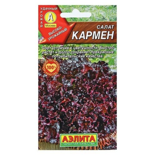 ���� ����� 