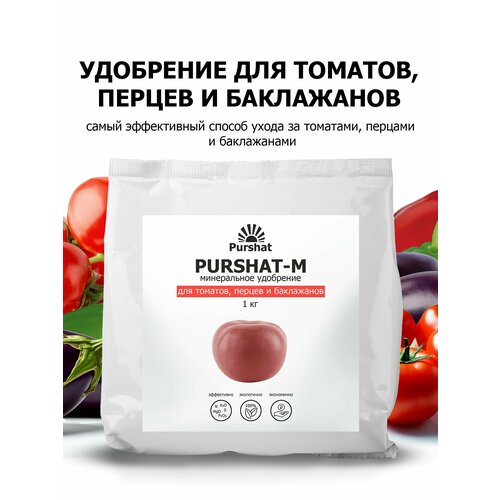 ���� ��������� ������ ��� �������, ���������� � ������ 1 ��, ������ �� 587 ���