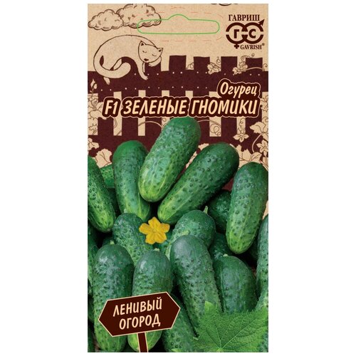 ���� ������. ������ 