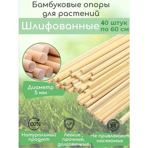 ���� ���������� ����� ��� ��������, ������ � �������, ����������� ����� 60 �� 40 ����, ������� ������� ������� 5 ��, ������ �� 729 ���