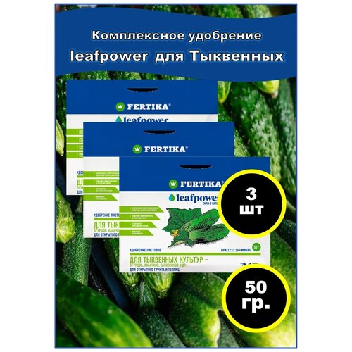    LEAF POWER 50 -    (, , ).  - 3 .   -     , -, 