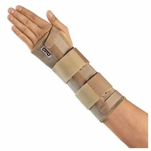 ���� ORTO ����� �� ������������� ������ LWL 601, ������ XL, �������, ������ �� 3106 ���