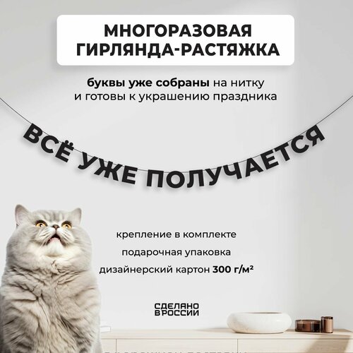  -  Ѩ   (220 ) -         ,   800 