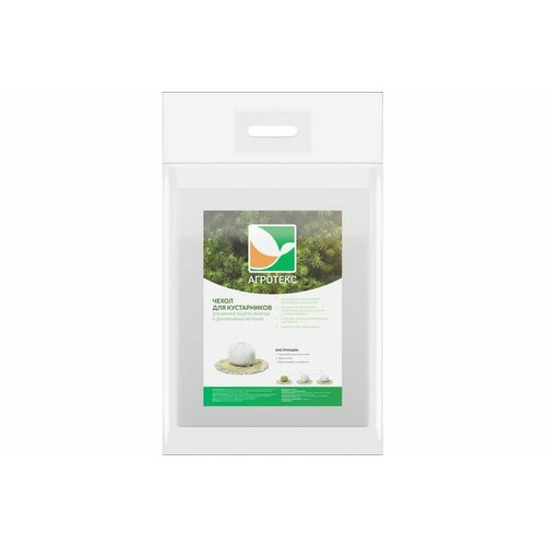 ���� ����� 